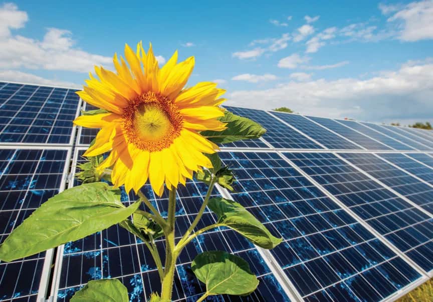 Elektrownia słoneczna Gdańsk - jak energia słoneczna zmienia miasto