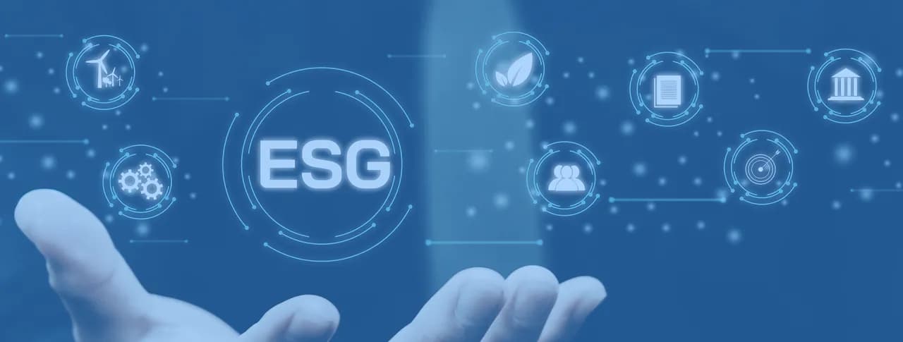 Studia zrównoważony rozwój: jak zdobyć umiejętności na rynku pracy