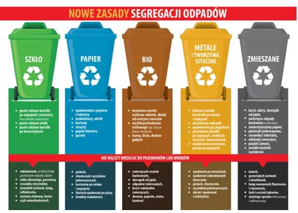Symbol recyklingu: Co oznacza i jak poprawnie segregować odpady