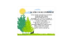 Jak zapobiec efektowi cieplarnianemu i ochronić naszą planetę