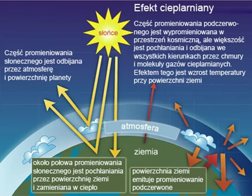 Co powoduje efekt cieplarniany? Zrozumienie przyczyn i skutków