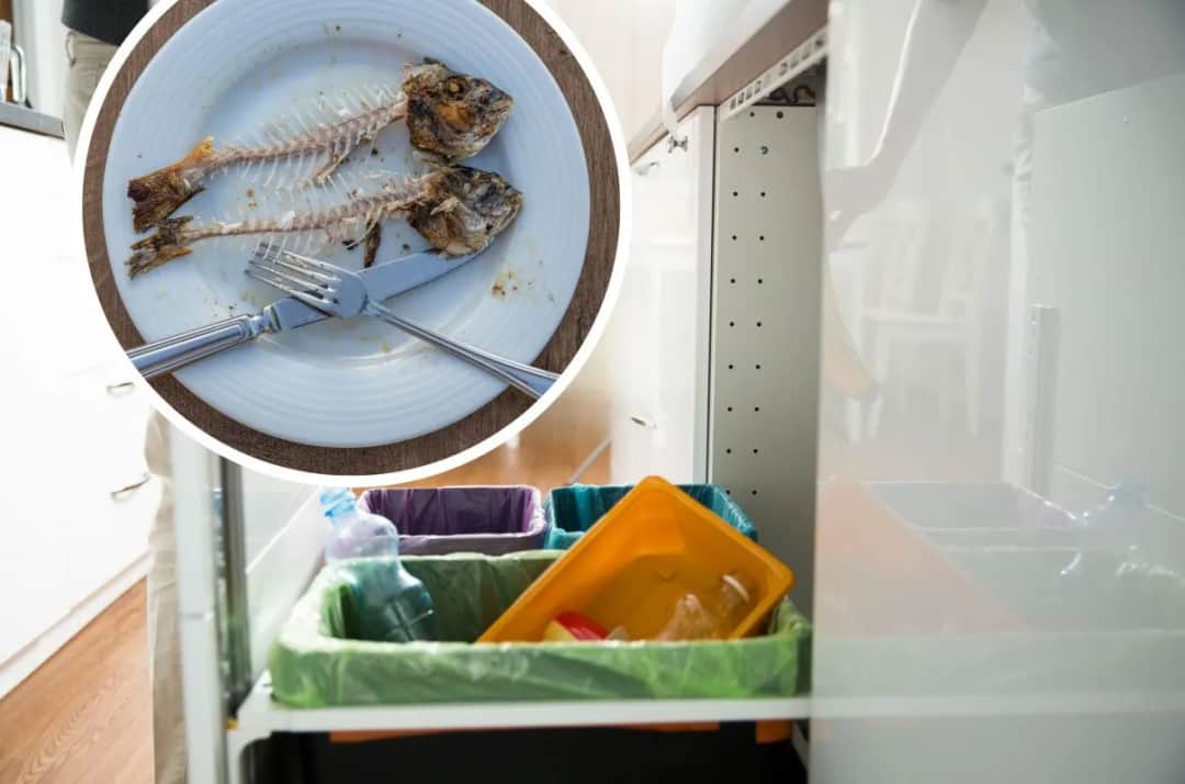 Gdzie wyrzucić resztki ryby, aby nie naruszyć zasad ekologii?